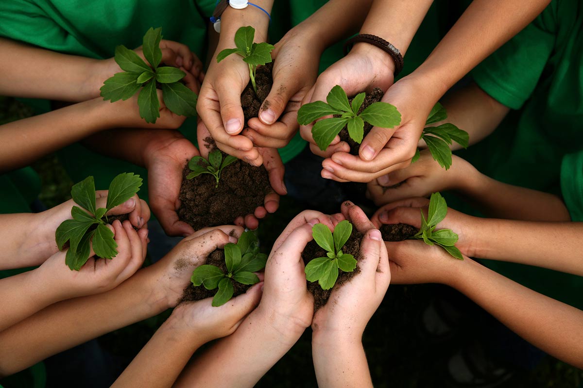 Direito Ambiental, Sustentablidade